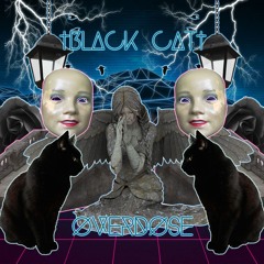 ✝BL▲CK C∆T✝ - ØVERD​Ø​SE