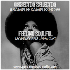 SAMPLE EXAMPLE SHOW: FEELING SOULFUL