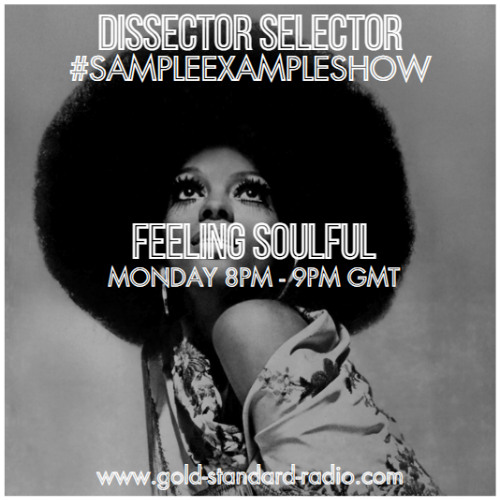 SAMPLE EXAMPLE SHOW: FEELING SOULFUL