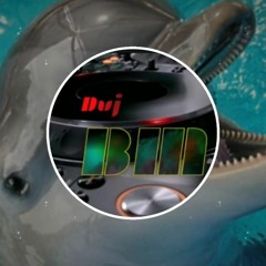 Dj Blaster Mix - El Pequeño delfin que hacia (Jungle Terror Remix)