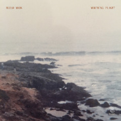 Blear Moon - Chronicles