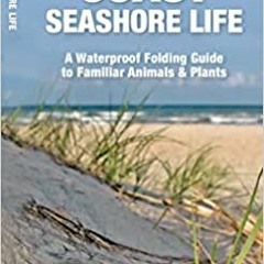 Download Pdf Gulf Coast Seashore Life: A Waterproof Folding Guide To Familiar Animals & Plants (Poc