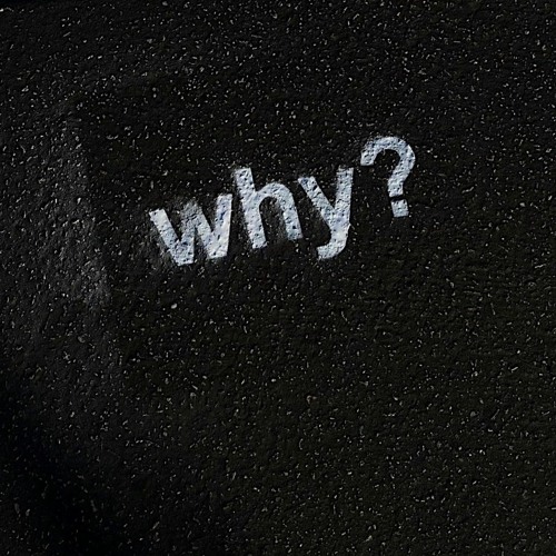 Why ?(version.1)