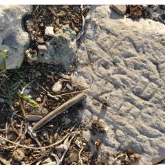 Walking Trough Valley Of Nothing..