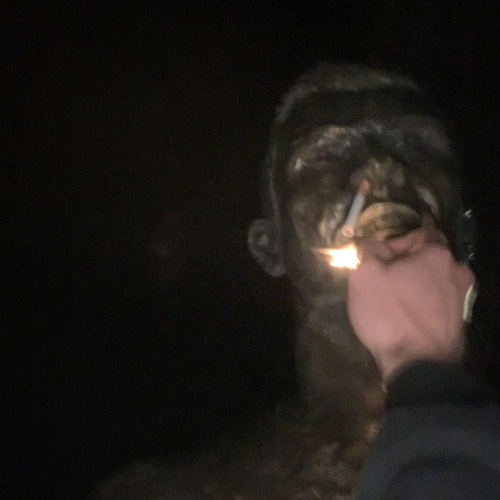 lil noon ~ ilhas [demo.v2]