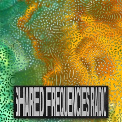 SFR February 2025 [season 11]