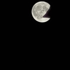 Az man Chera Ranjidei (Mehdi Yaghmaei).mp3