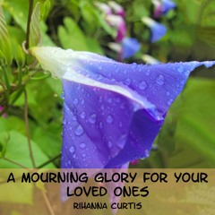 A Mourning Glory For Your Loved One