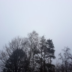 A Long Time Comming Autumn 2020