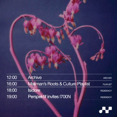10.06.2025 Perspektif invites l700N