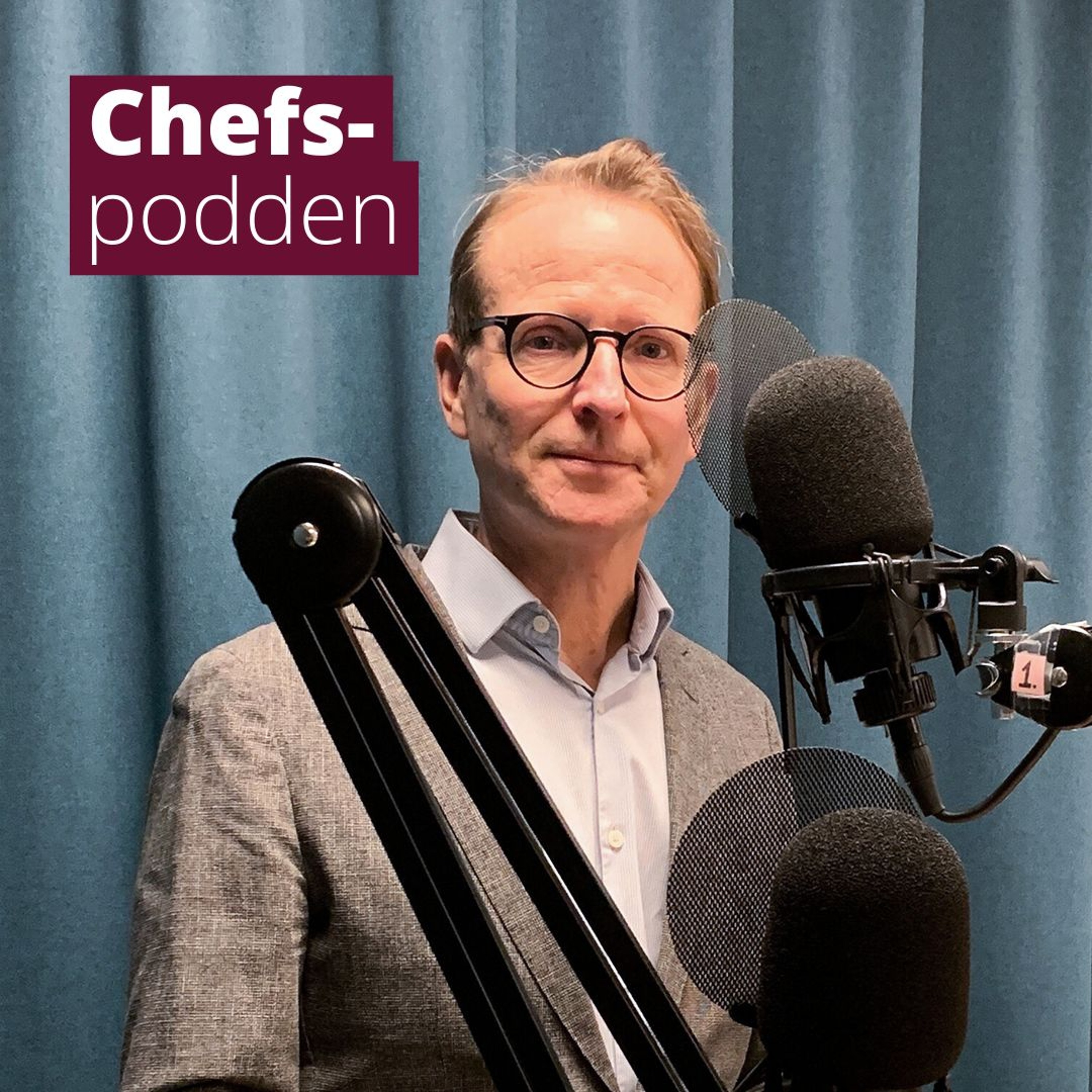 Lars Strannegård om meritokrati, behovet av bildning och hotet mot mångfalden