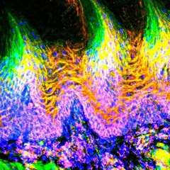 ВВЕДЕН (slowed reverb)