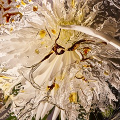 Dialektik Podcast #08 – SHALT