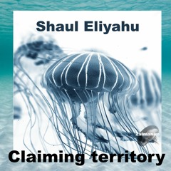 Shaul Eliyahu - Claiming Territory