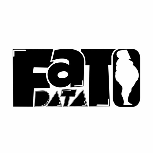 Fat Data - Widelux (rmx)