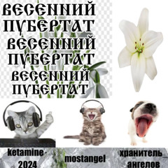 ВЕСЕННИЙ ПУБЕРТАТ^^ +mostangel +хранитель_ангелов (SPEED UP)