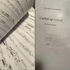 Curled Up Voices, pour flûte et harpe - Camilla Hoitenga - Héloïse Dautry