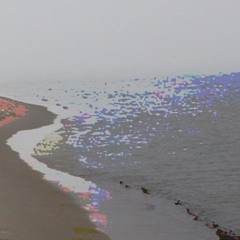 fog