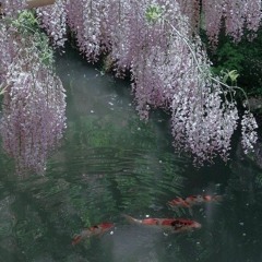 nikitsunami - эмоции *snippet 12.02.24