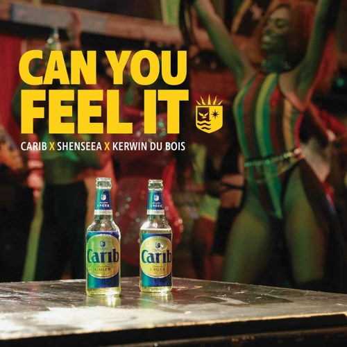 KERWIN  DU  BOIS  &  SHENSEEA - CAN  YOU  FEEL  IT (Drizzy Intro)