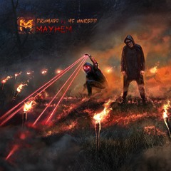 Drumago ft. MC Unredd - Mayhem