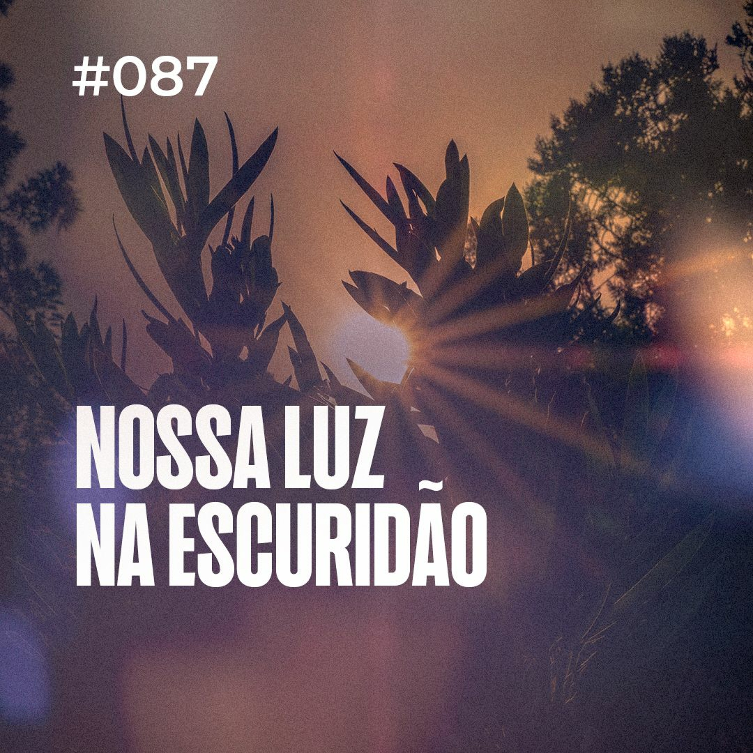 Dirce Carvalho