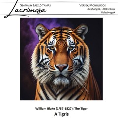 A Tigris