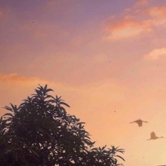 Tìm nơi thiên hoang địa lão - Thiện Y Thuần - Sing China 2020