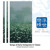 Artwork for Recalling (Hengchun Folk Song)