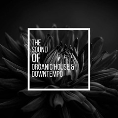 The Sound Of Organic House & Downtempo Vol.13