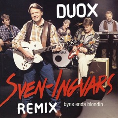Sommar I Sverige - Sven-Ingvars Bootleg Remix