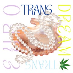 BEBI GABEL - TRANS DREAM TRANS EURO