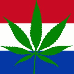 Showtek - Dutchie (Devine Edit) (FREE DL)