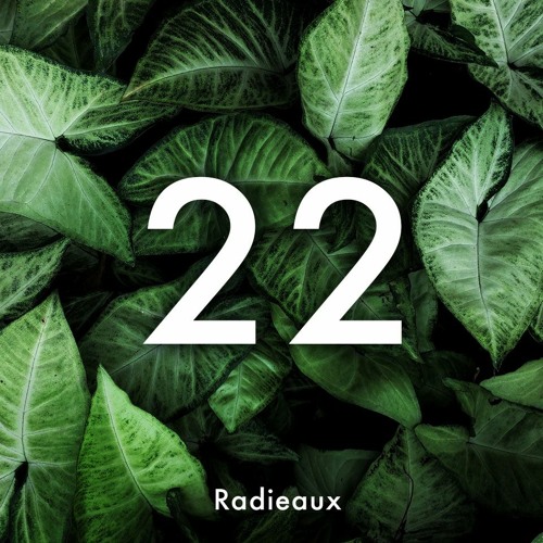 Lulleaux Radieaux 22