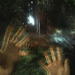 cut ties (sh1zok1d)