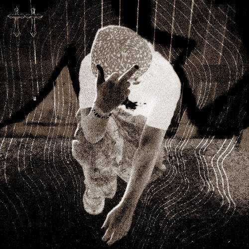 WHY GO THROUGH THE TROUBLE P. Sphynx