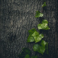 There is a way - Max Degrand