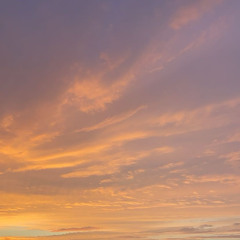 All my praise (prod. vynezbeats)