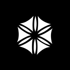 'Till My Back Ain't Got No Bone- Albert King Cover