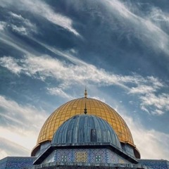 سورة الأنفال - د. خالد أبو شادي (فك الله أسره)