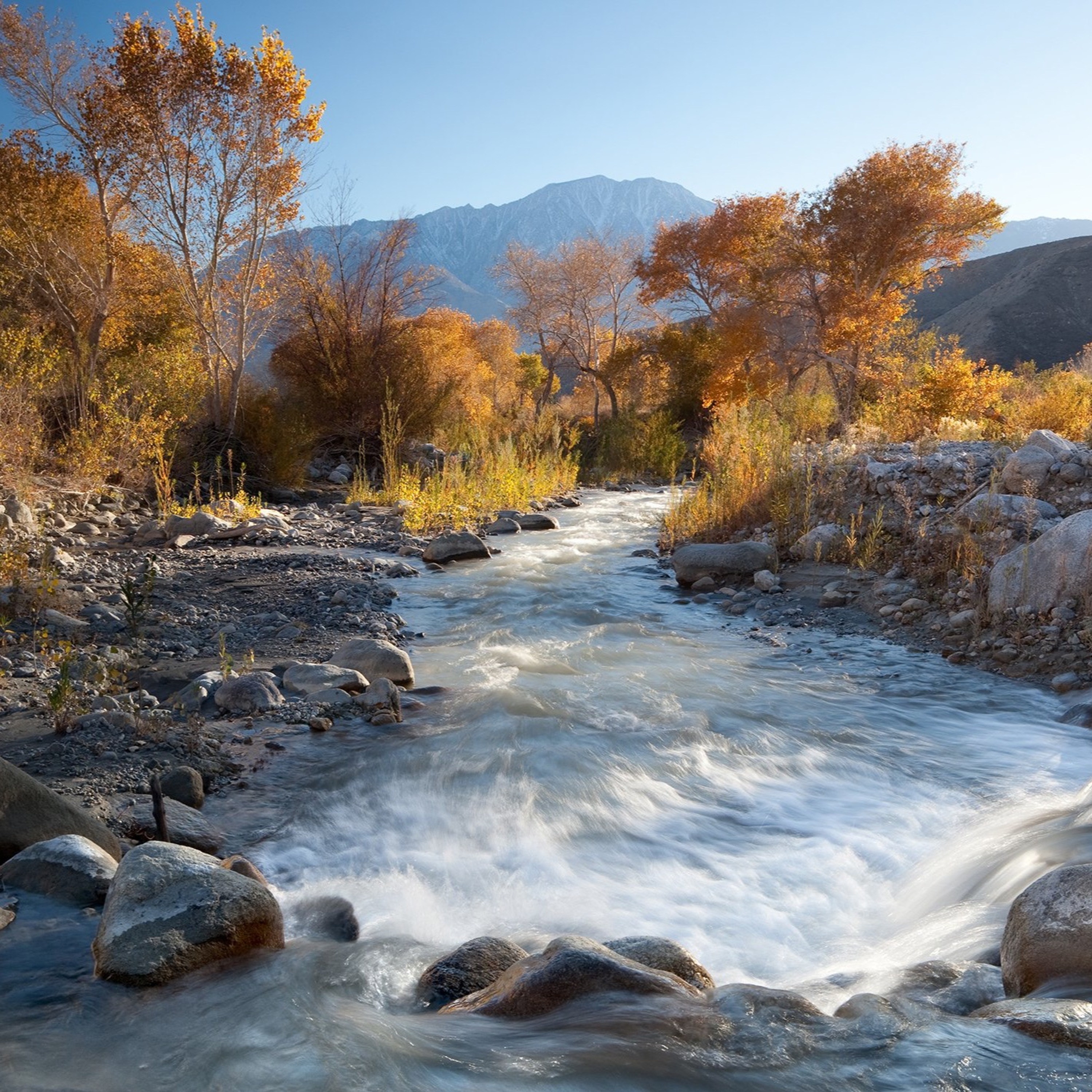 Revisit: The Wildlands Conservancy - Behold The Beauty