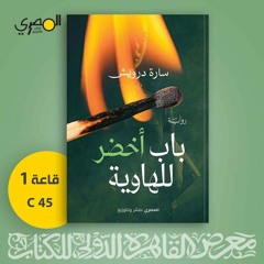 مقطع من رواية (باب أخضر للهاوية) لـ سارة درويش