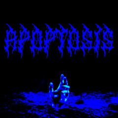 EXPERIMENTAL 001 - CHRSTXKING