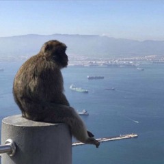 said it cuz it rhymed ( Prod. 66slush)