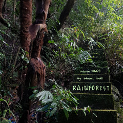 Rain Forrest (Fast) - disquiet0669