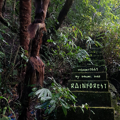 Rain Forrest (Fast) - disquiet0669