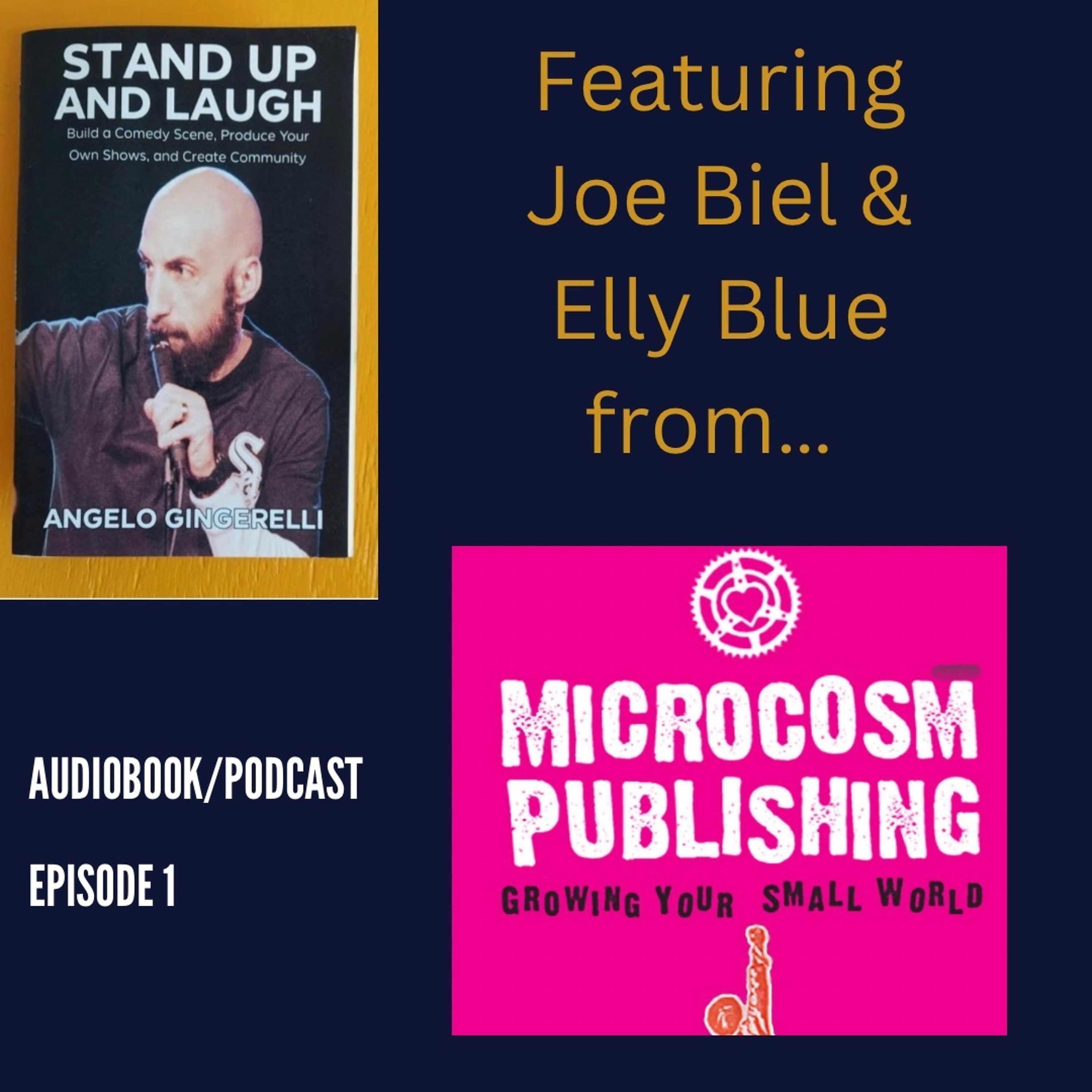 Stand-Up and Laugh Audiobook/Podcast
