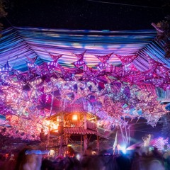 Rollercoaster Ozora (August 2024)