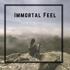Immortal Feel - (Original Mix)