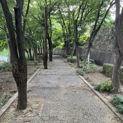 A Perpect Day- ver 1- structure